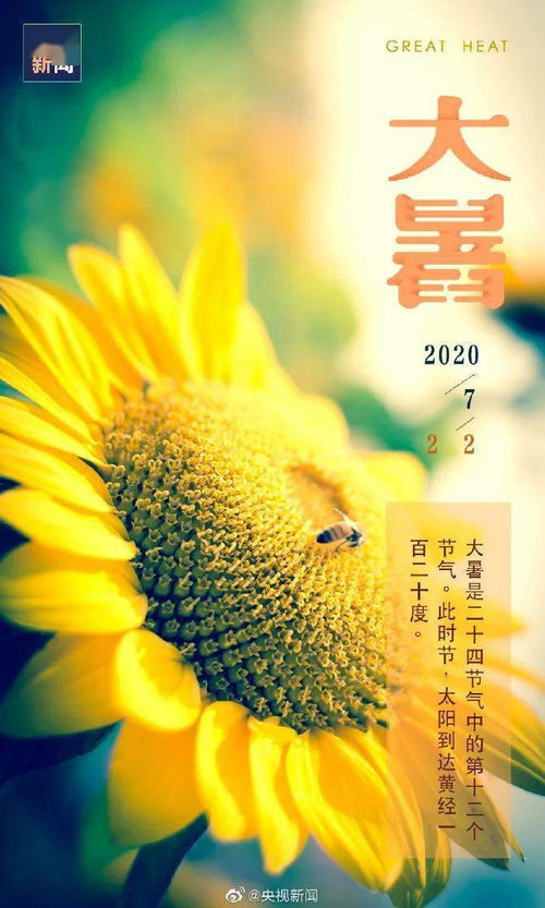 大暑要防中暑,要规范疫情!(大暑防中暑妙招)