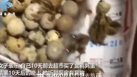 婚车突然失去了控制,杀死了姐妹 新郎新娘事后的举动让网友炸锅