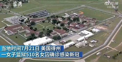 新冠肺炎检测结果呈阳性(新冠肺炎检测结果阴性)