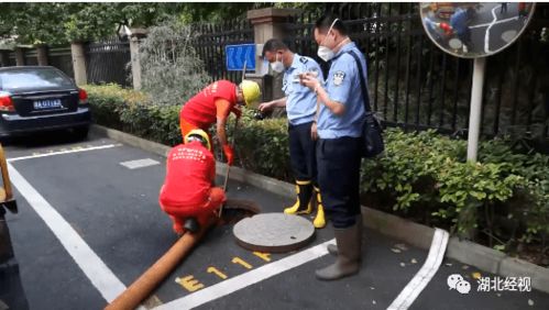 杭州失踪女子遇害案细节披露!丈夫徐两次回头看吸粪车(杭州失踪女子遇害细节最新消息)