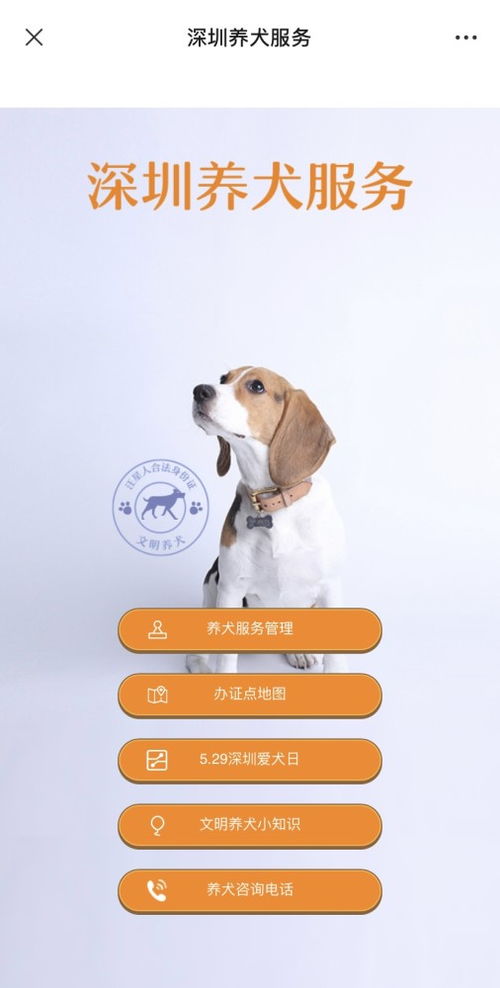 深圳狗芯片记录世界唯一串15位长度数字代码(深圳 狗 芯片)