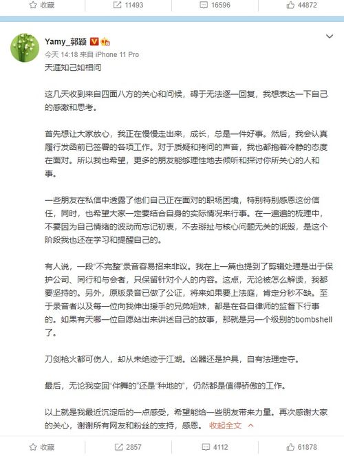 Yamy郭颖回应争议:质疑和折磨的声音持冷静态度(YAMY郭颖)