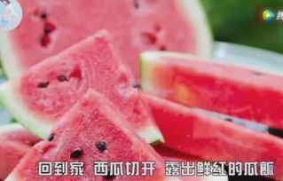 中山一男子吃西瓜吃塑料膜?专家:是正常现象(男子电梯吃西瓜)