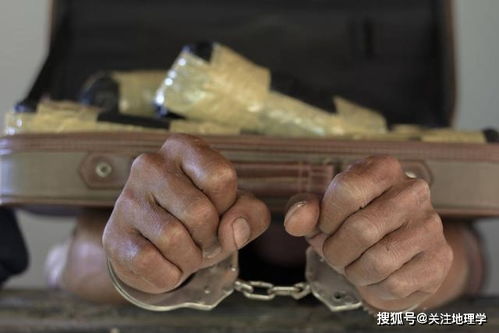 14岁女孩因涉嫌强奸致孕 案件已在审查逮捕阶段(辽宁14岁女孩)