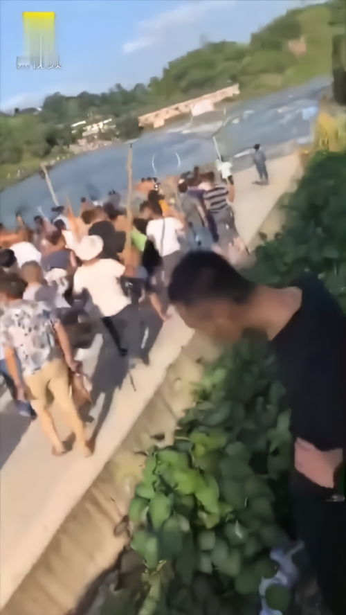 重庆长寿湖开闸泄洪 3000人冲进水里捡鱼,只有3人发现了(重庆长寿湖景区)