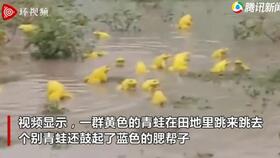 2岁半的男孩从高层坠落现场感到担忧(四周半男孩多高正常)