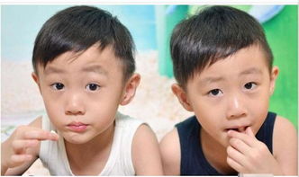为什么双胞胎成绩惊人?(为什么双胞胎成绩不好)