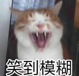 西班牙警方发现近2000年罗马双耳罐(西班牙警方专线)
