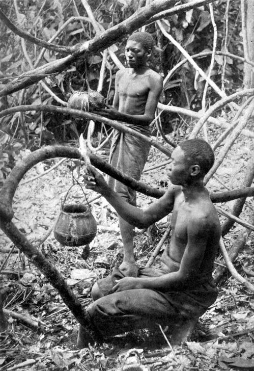 纽约布朗克斯动物园关押黑人奥塔本加(Ota Benga)道歉(来自纽约的布朗克斯)