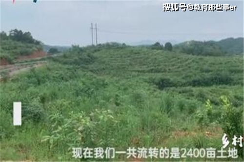 海归女硕士包2400亩荒山(海归女硕士择偶标准)