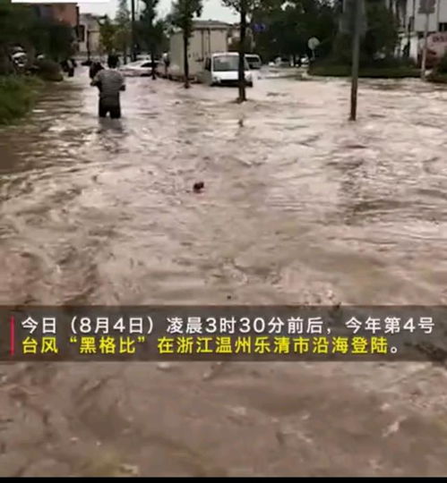 台风中村民十几头牛被洪水冲走 寻牛启示:少几条腿