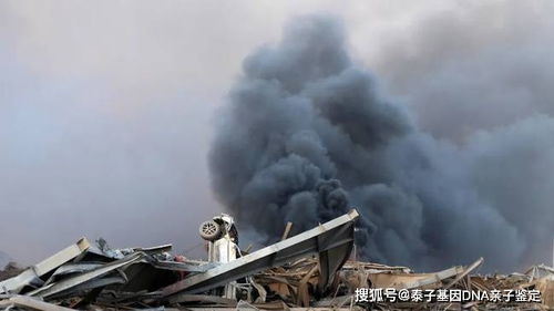 黎巴嫩首都爆炸已致70余人死亡 爆炸现场升起红色蘑菇云（图片）(黎巴嫩首都爆炸已致100余人死亡)