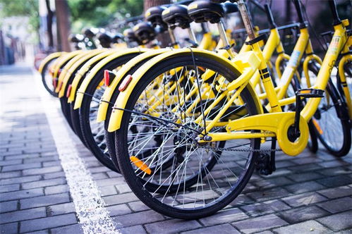 清华大学生起诉ofo押金是99元,结果是400元 小黄车,o(大学生起诉学校)