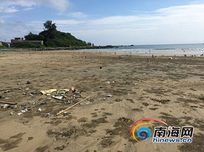 广东湛江养殖污水直接排放海洋20公里