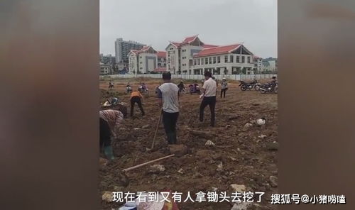母亲梦见地下有宝藏 女儿带人去挖21米深洞寻宝结局(梦见自己母亲在外面地下躺着)