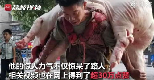 生意最好的时候,他早上要背30多头猪,总共几万斤(生意最好的时候 罗烽)