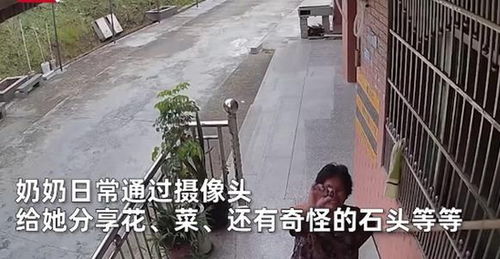 独居老人和孙女分享日常生活 奶奶独自在老家,对着监控与孙女隔(什么是分户独居老人)