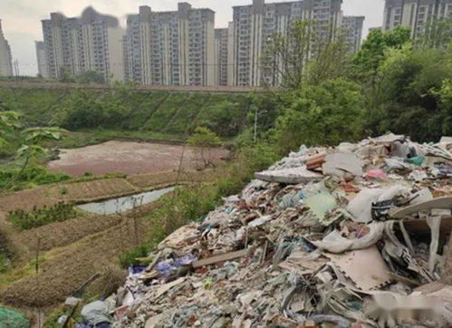 邵阳回应全家四人被砍倒垃圾:嫌疑人故意杀人泄私愤(邵阳回应四人被砍处理结果)