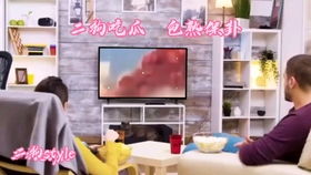 黎巴嫩总统:无权干涉港口事务 前政府已被告知危险品存在(黎巴嫩总统百度百科)