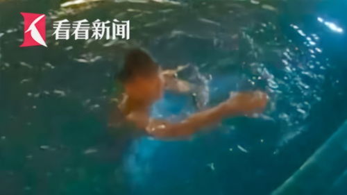 夫妻吵架闹事很常见,如果你想找到它,成本会很高~(夫妻吵架常说的话)