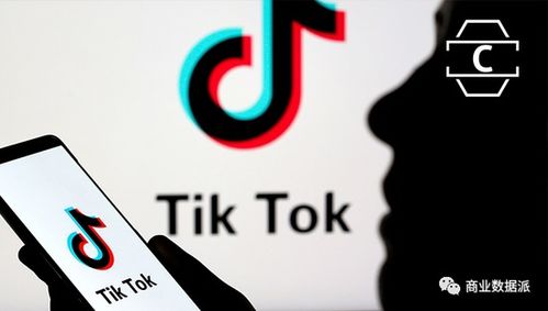 特朗普下令出售字节跳动TikTok(特朗普出售其私人直升机)