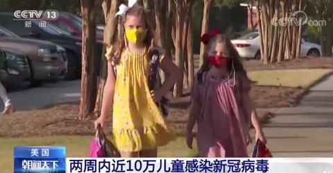 美国发现33(美国发现3.85亿年前森林化石)