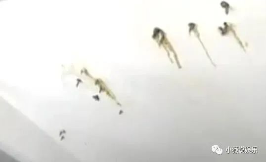 1100万买新房,入住不到一年到处漏水?(150万上海哪里买新房)