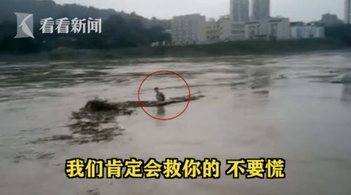 跳江自杀:因感情问题难过(情侣疑因感情问题跳江)