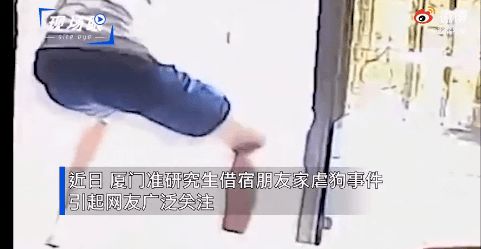 好消息!准研究生虐狗事件女主人发声:狗狗病情好转(研究生迎来好消息)