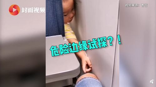 萌娃坐高铁拔后座乘客腿毛(萌娃坐高铁拔后座乘客腿毛视频)