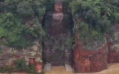 七十年来第一次!四川乐山大佛脚趾被淹,大佛还好吗?(5年来第一次)
