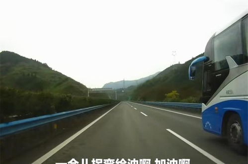 重庆女司机开车撞上护栏 网友:没有驾照估计(女司机穿高跟鞋开车撞人)