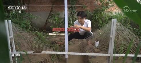 在自己的菜地里建造高铁!大学生迷你版基础设施走红 穿越隧道,(在自己的菜地里建围墙合法吗)