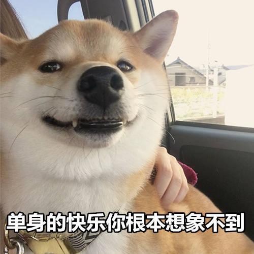 如何看待主动单身(如何看待主动的女生)