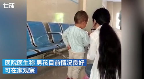 警方回应丽江3岁男孩被带走:已组织专班调查(丽江政府回应公告)