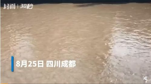 女子自杀跳河 出租车司机跳河救人被水冲走