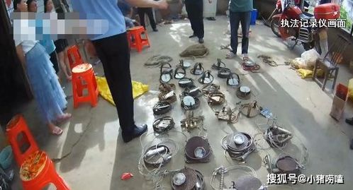 他在动物上狩猎瘾,家中4只大冰柜塞满野味
