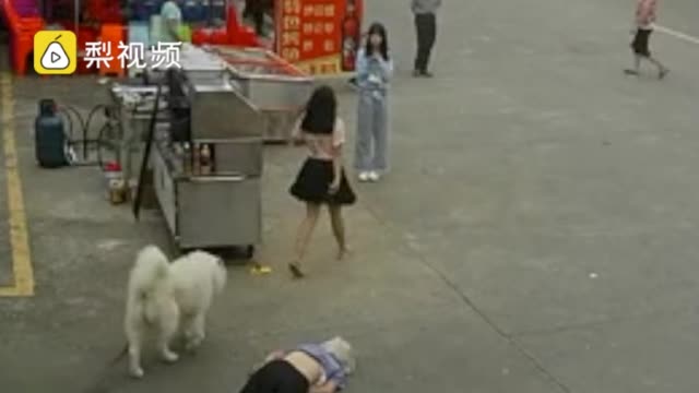 女孩回应绊死人逃跑 一位老人在广东佛山被狗绳绊倒后去世(女孩回应绊死人逃离)
