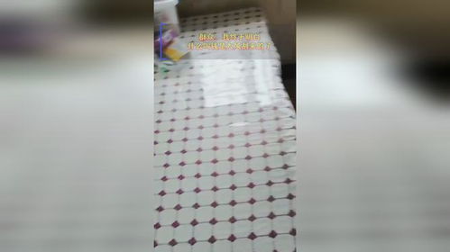 刮风下雨的女人没有关窗 早上起床到客厅看起来很开心(女人梦到刮风下雨)