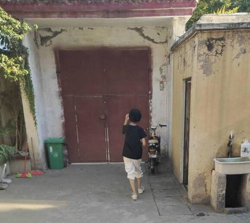 13岁女孩张易文任教私塾被查封(河南女孩张易文)