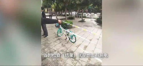 22岁的网络名人钓鱼时不小心触电身亡 事件瞬间画面曝光(网络名人的影响)