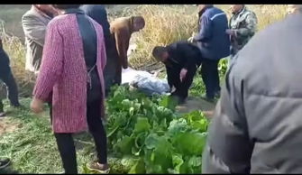 22岁的网络名人钓鱼时不小心触电身亡 事件瞬间画面曝光(第三代网络名人)