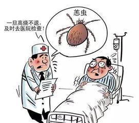 女子治猪骨后发高烧近40度,头痛欲裂到医院,医生的话令人恐惧