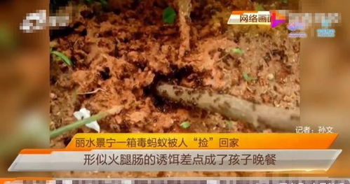 浙江省农业科学院技术人员拨打110报警电话(浙江省农业科学院是什么级别)