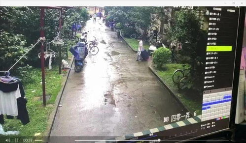 女子被杀藏尸行李箱 【中国女子泰国生子后被丈夫杀害】(女子被杀藏尸行李箱带回父亲家)