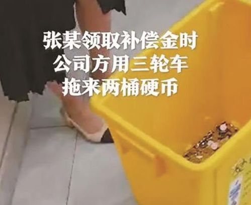 全是一角的!离职赔偿6000元是硬币!四川女子很生气