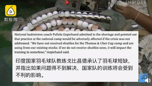 印度羽毛球遭严重短缺 因为印度政府禁止从中国进口商品(印度羽毛球为什么崛起)