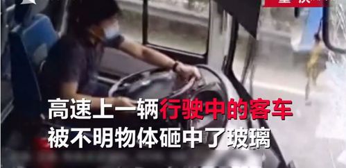 横穿高速公路的人当场死亡,司机不涉酒不涉毒(行人横穿高速公路责任)