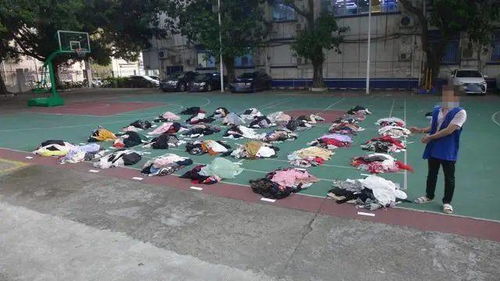 深圳警方破获一起偷衣服犯罪嫌疑人(深圳警方破获贩毒案)