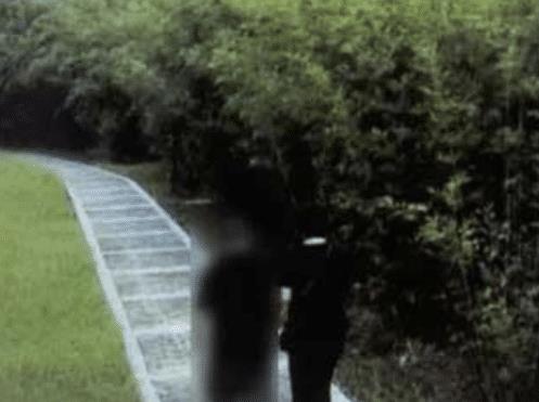 现代快报多媒体数字报刊平台(现代快报多媒体数字报刊平台)